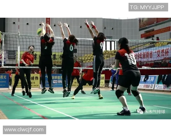 广州排球队的战术解析与控球技巧深度剖析