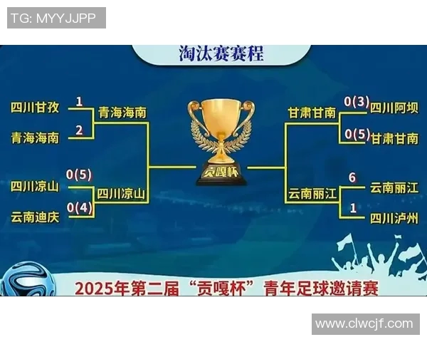 甘南足球明星盘点他们的成就与影响力分析